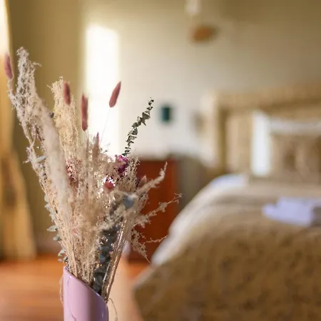 Chateau De Monceaux 5mn De Proche בית נופש *