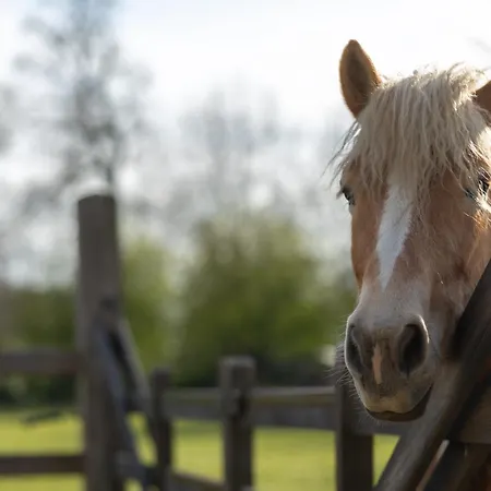 בית נופש Chateau De Monceaux 5mn De Proche *