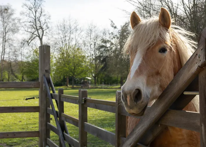 Chateau De Monceaux 5mn De Proche * Bayeux