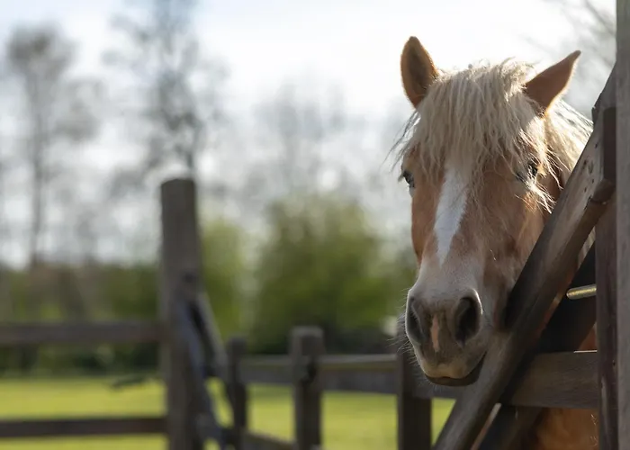 בית נופש Chateau De Monceaux 5mn De Proche *